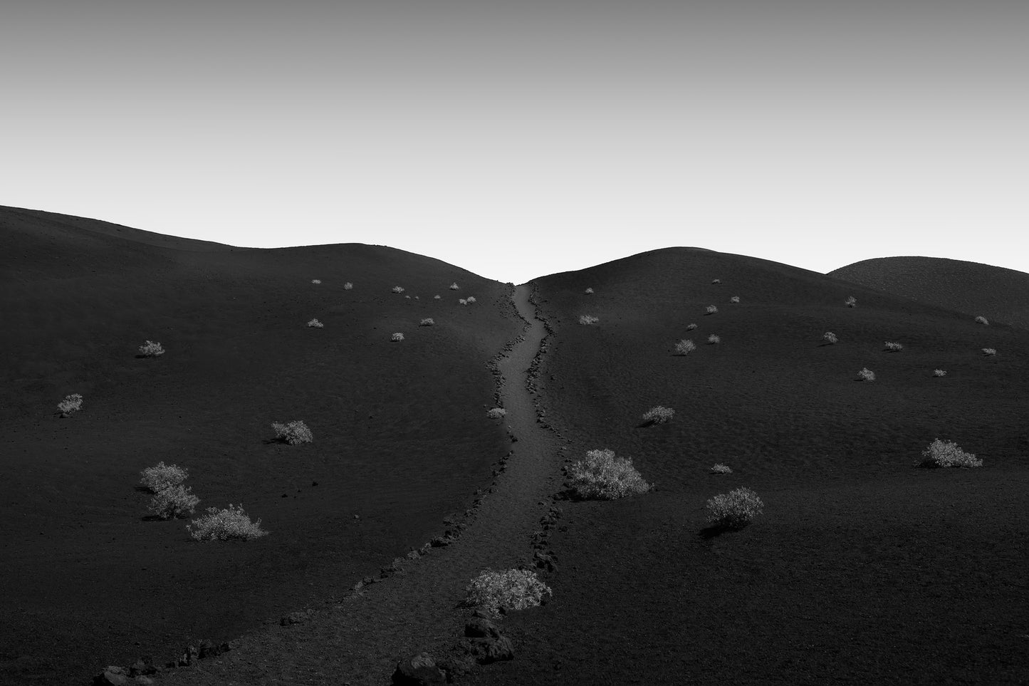 Journey