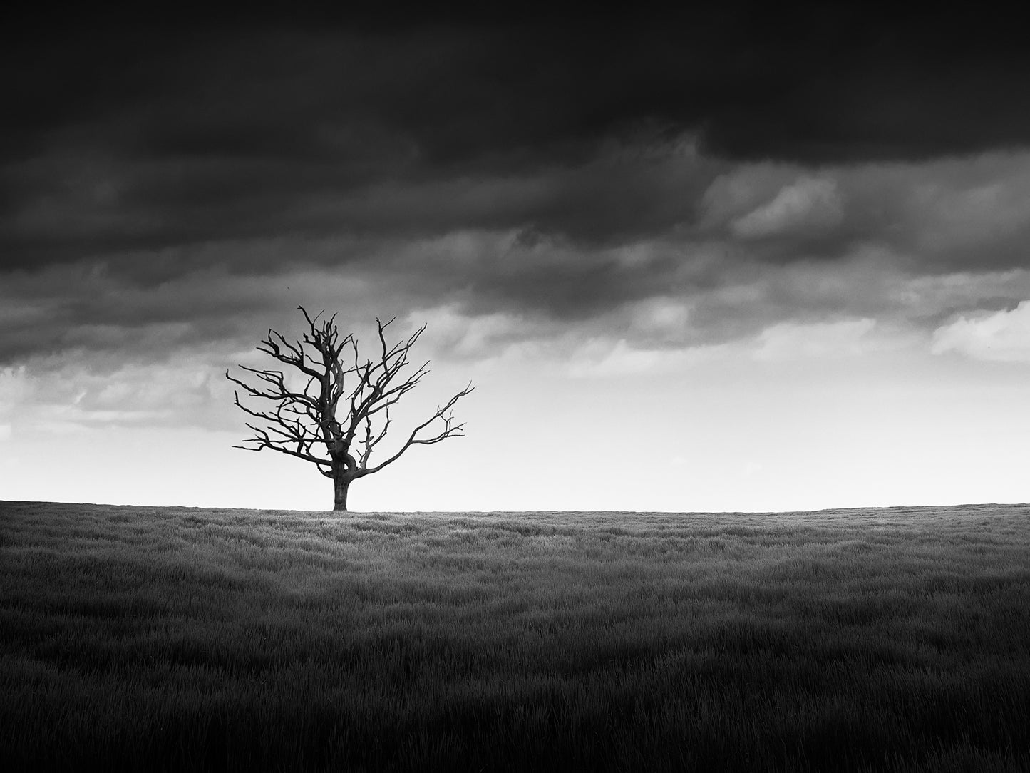 Resilience